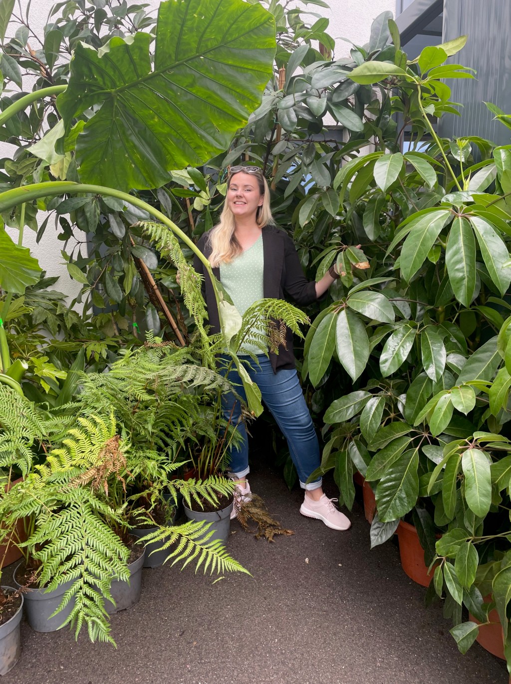 About Finding Millys